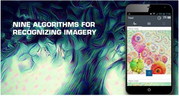Deep Dream Algorithms for recognising imagery link