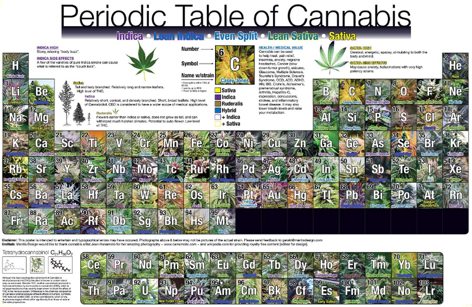Cannabis cure blogspot