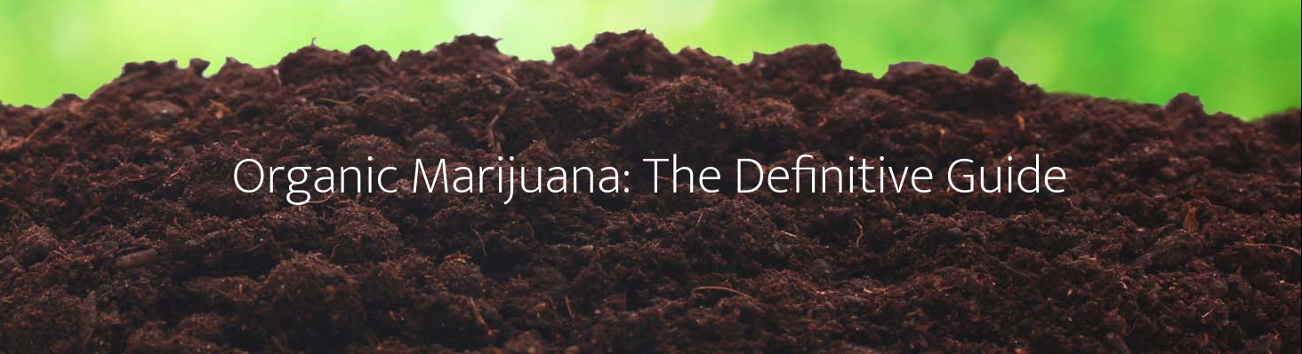 Organic Marijuana: The Definitive Guide