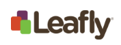 Leafy homepage