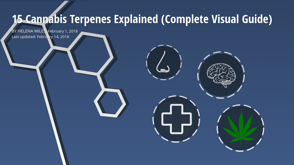!5 Cannabis Terpenes visual guide link